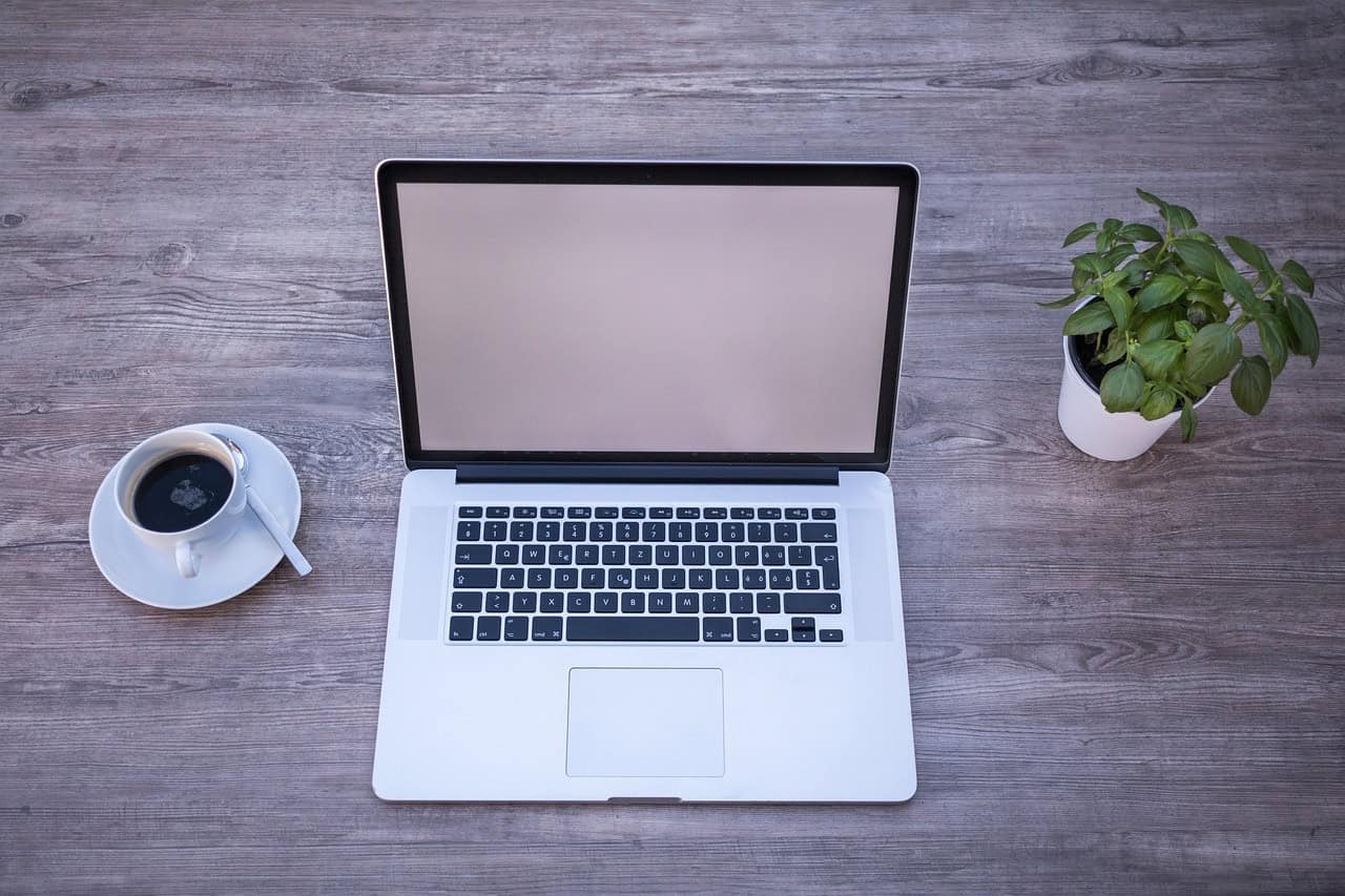 A laptop on a wooden surface next to a plant and a cup of coffee.