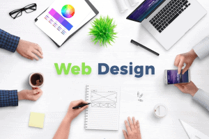 Web design services in delhi.